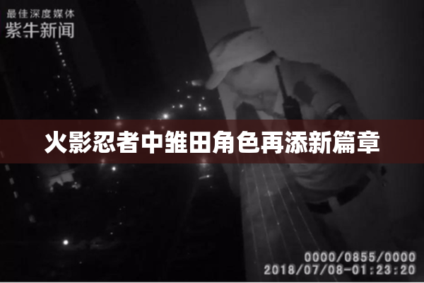 火影忍者中雏田角色再添新篇章