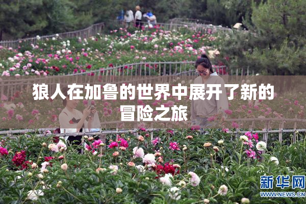 狼人在加鲁的世界中展开了新的冒险之旅