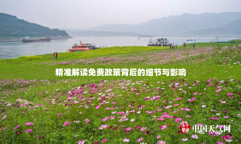 精准解读免费政策背后的细节与影响