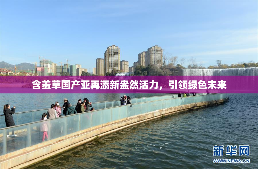 含羞草国产亚再添新盎然活力，引领绿色未来