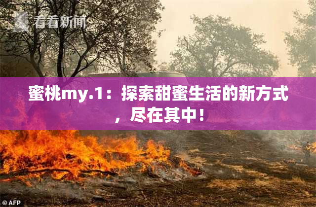 蜜桃my.1：探索甜蜜生活的新方式，尽在其中！