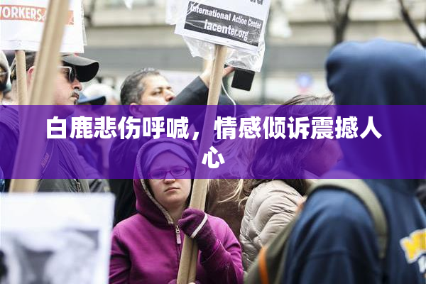 白鹿悲伤呼喊，情感倾诉震撼人心