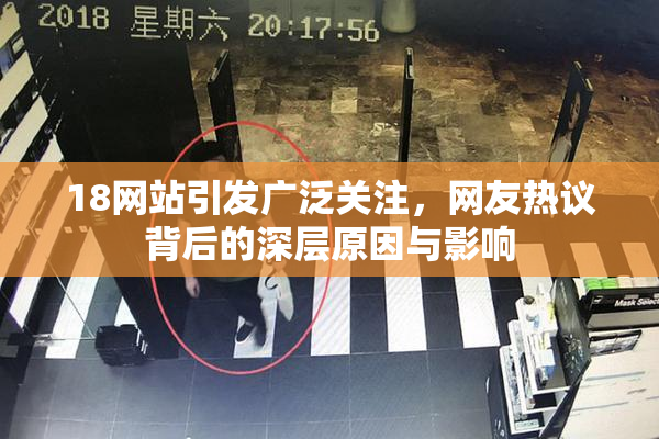 18网站引发广泛关注，网友热议背后的深层原因与影响