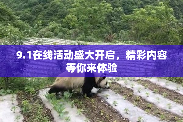 9.1在线活动盛大开启，精彩内容等你来体验