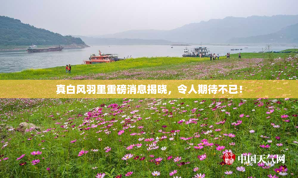 真白风羽里重磅消息揭晓，令人期待不已！