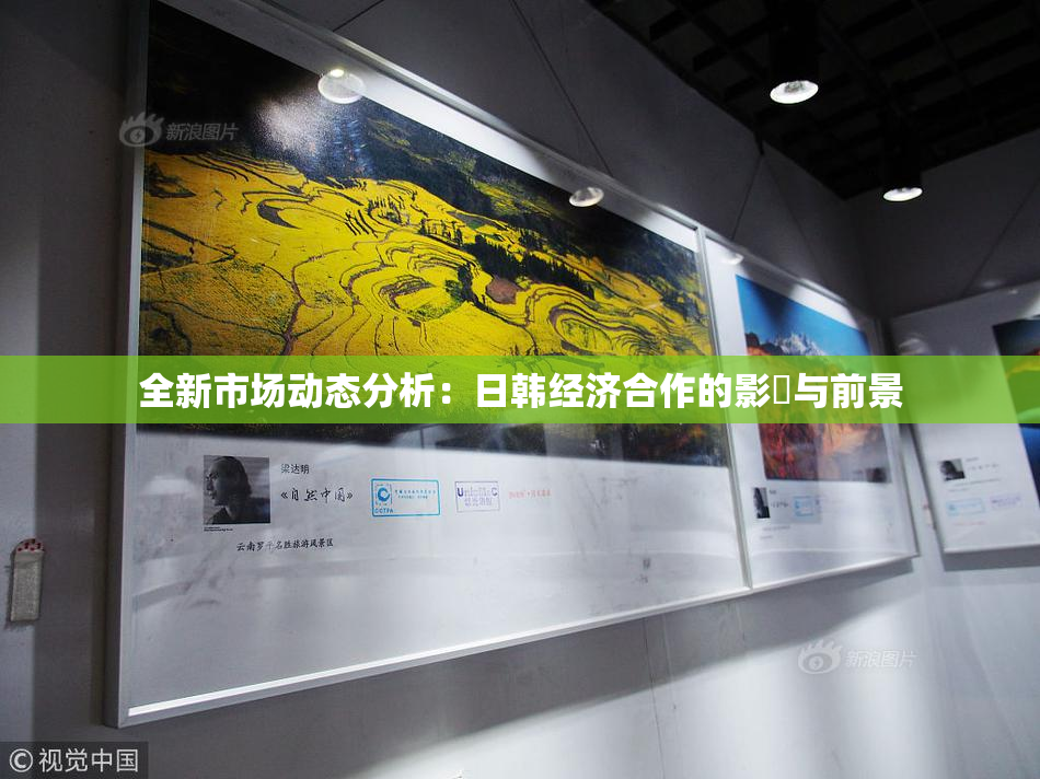 全新市场动态分析：日韩经济合作的影響与前景
