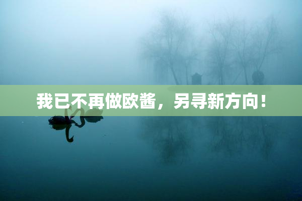 我已不再做欧酱，另寻新方向！