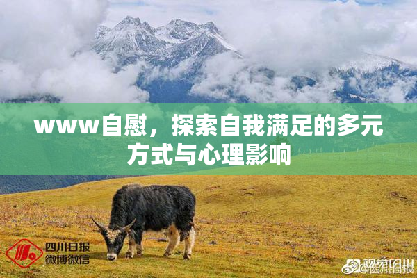 www自慰，探索自我满足的多元方式与心理影响