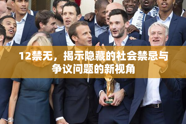 12禁无，揭示隐藏的社会禁忌与争议问题的新视角