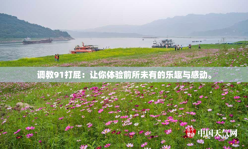 调教91打屁：让你体验前所未有的乐趣与感动。