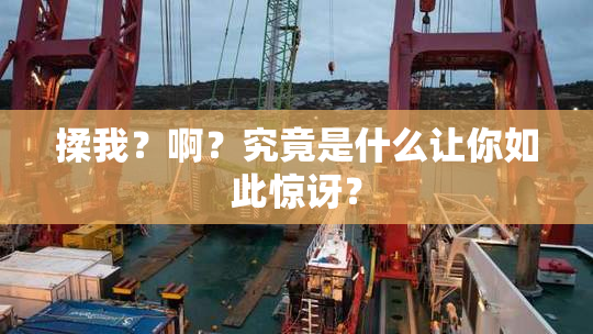 揉我？啊？究竟是什么让你如此惊讶？