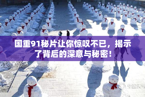 国重91秘片让你惊叹不已，揭示了背后的深意与秘密！