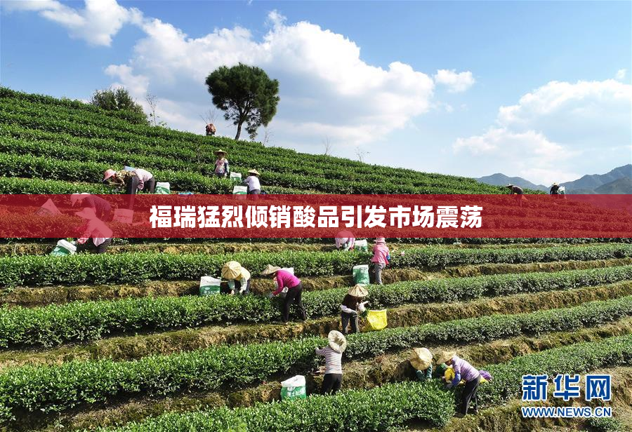 福瑞猛烈倾销酸品引发市场震荡