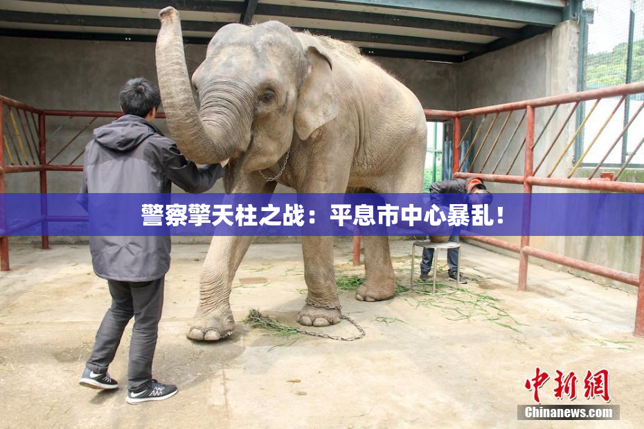 警察擎天柱之战：平息市中心暴乱！