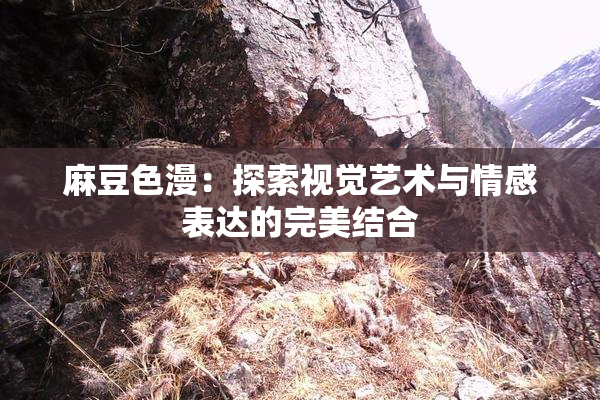 麻豆色漫：探索视觉艺术与情感表达的完美结合