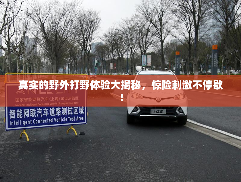 真实的野外打野体验大揭秘，惊险刺激不停歇！