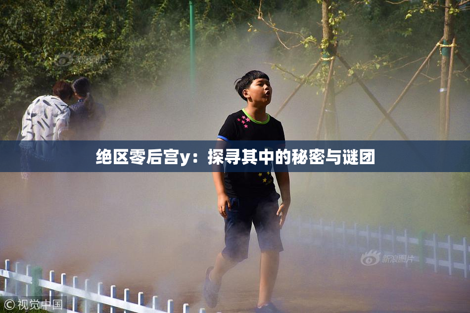 绝区零后宫y：探寻其中的秘密与谜团