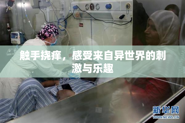 触手挠痒，感受来自异世界的刺激与乐趣
