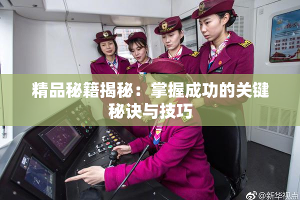 精品秘籍揭秘：掌握成功的关键秘诀与技巧