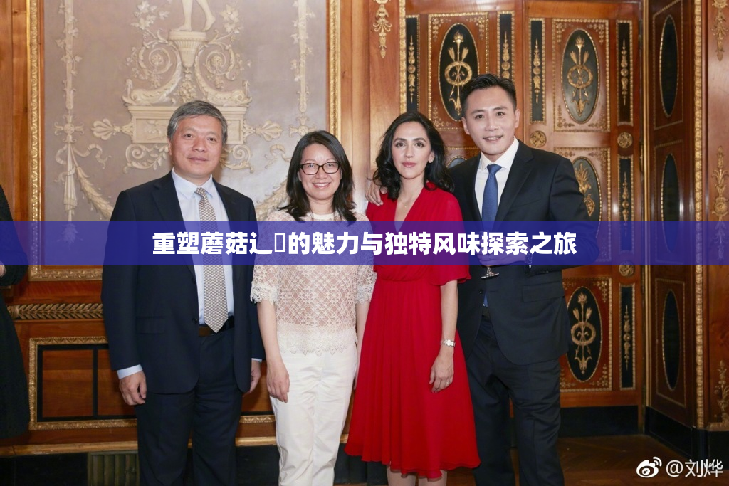重塑蘑菇辶喿的魅力与独特风味探索之旅