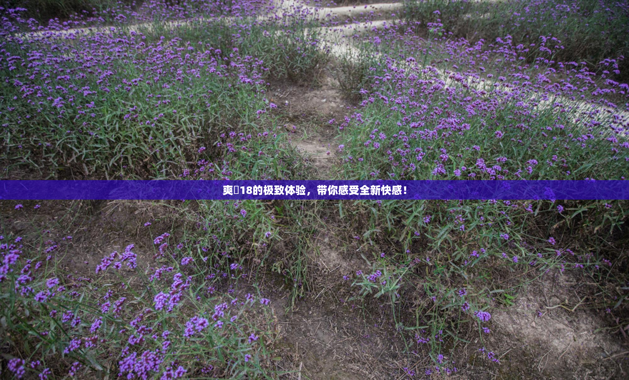 爽擼18的极致体验，带你感受全新快感！