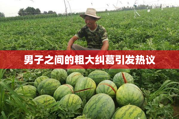 男子之间的粗大纠葛引发热议