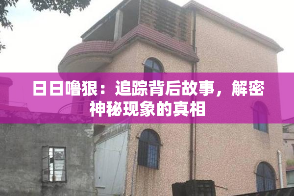 日日噜狠：追踪背后故事，解密神秘现象的真相