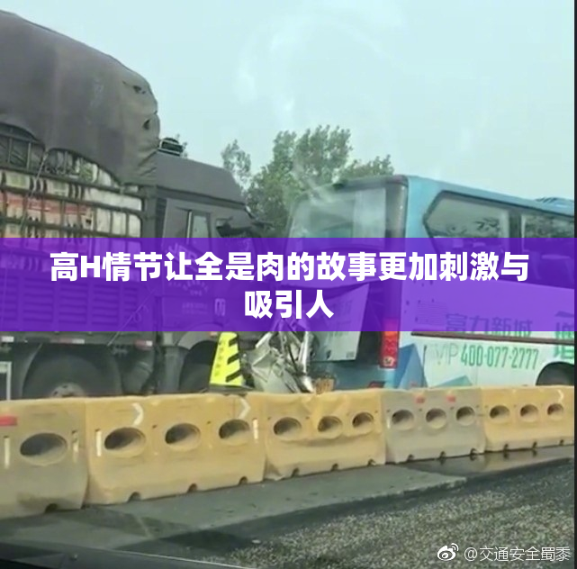 高H情节让全是肉的故事更加刺激与吸引人