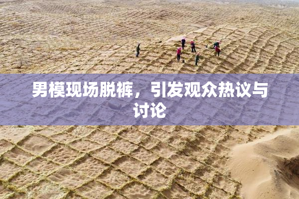 男模现场脱裤，引发观众热议与讨论