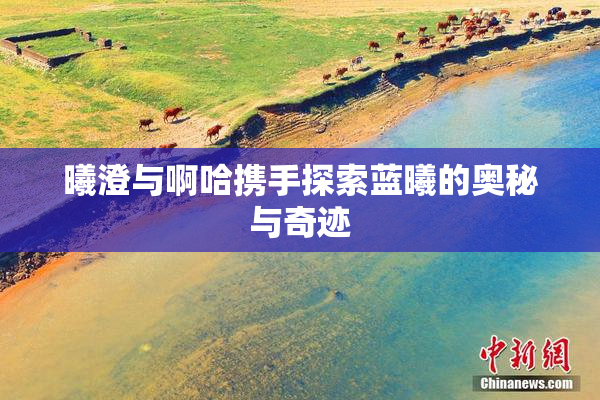 曦澄与啊哈携手探索蓝曦的奥秘与奇迹