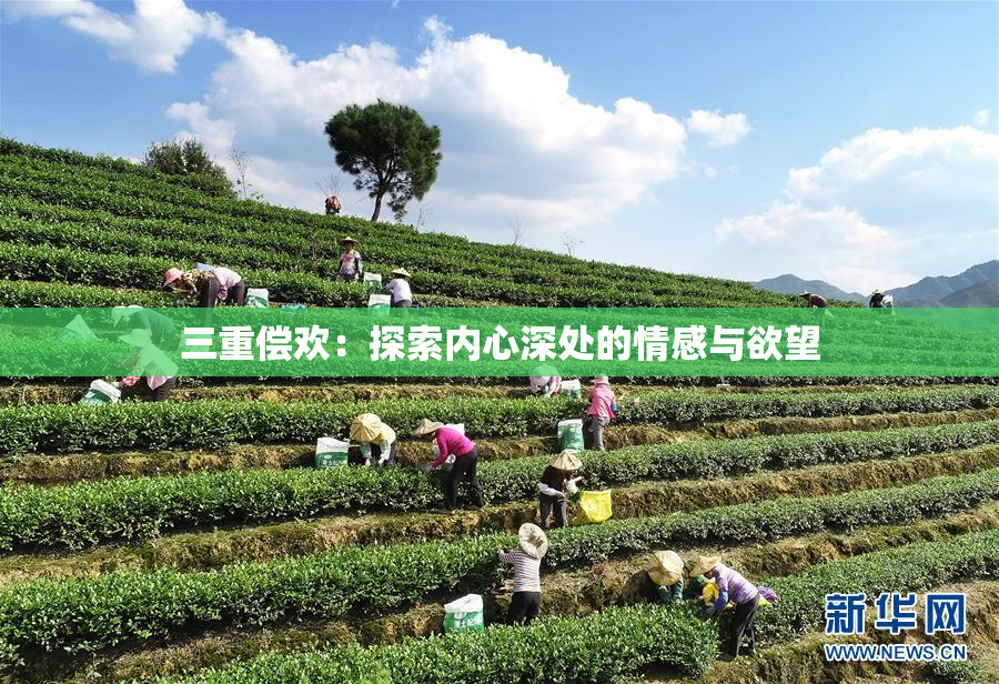 三重偿欢：探索内心深处的情感与欲望