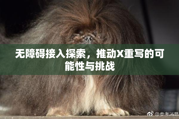 无障碍接入探索，推动X重写的可能性与挑战