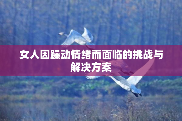 女人因躁动情绪而面临的挑战与解决方案