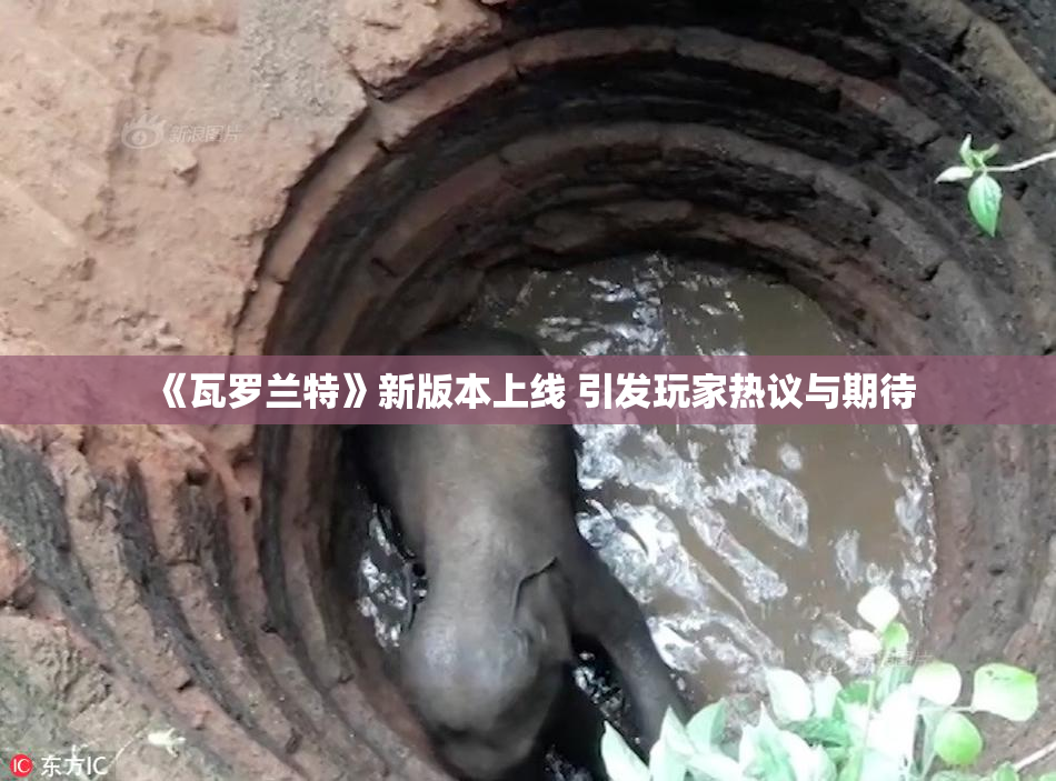 《瓦罗兰特》新版本上线 引发玩家热议与期待