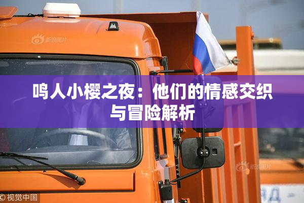 鸣人小樱之夜：他们的情感交织与冒险解析