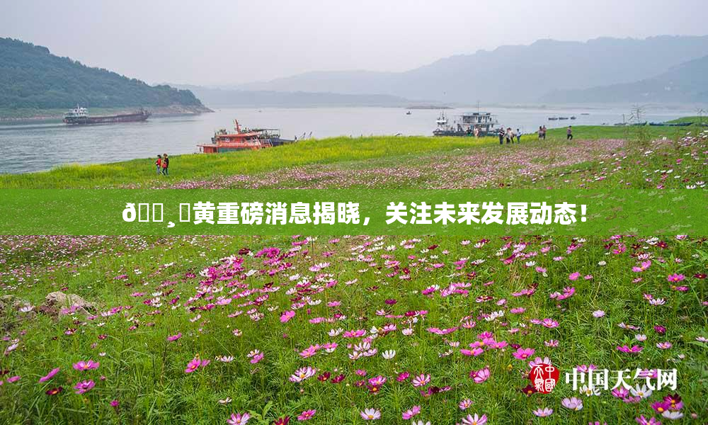 🌸‌黄重磅消息揭晓，关注未来发展动态！