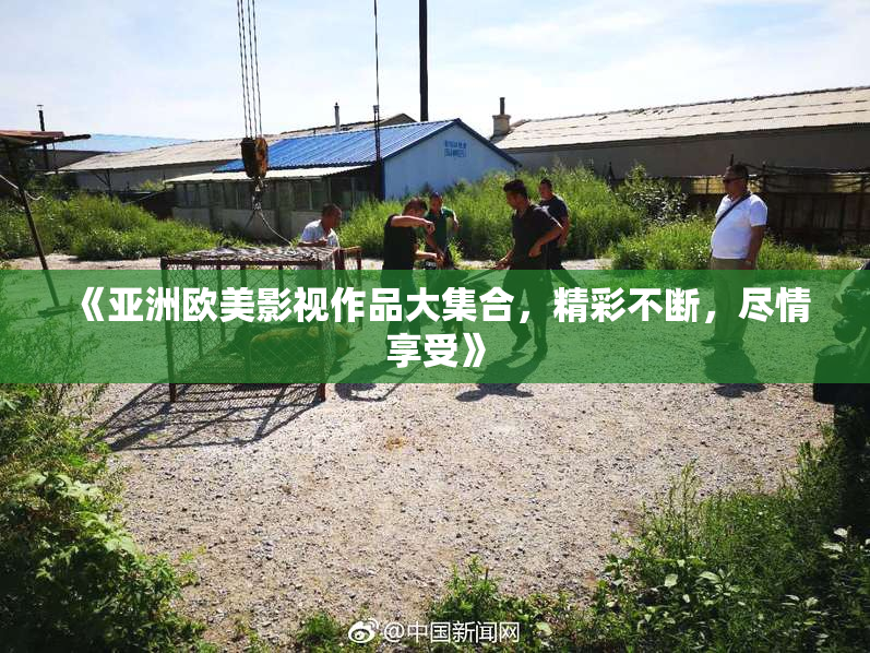 《亚洲欧美影视作品大集合，精彩不断，尽情享受》
