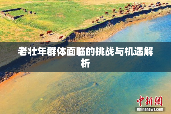 老壮年群体面临的挑战与机遇解析