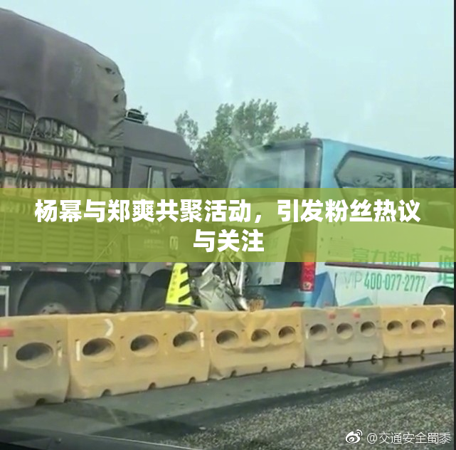 杨幂与郑爽共聚活动，引发粉丝热议与关注