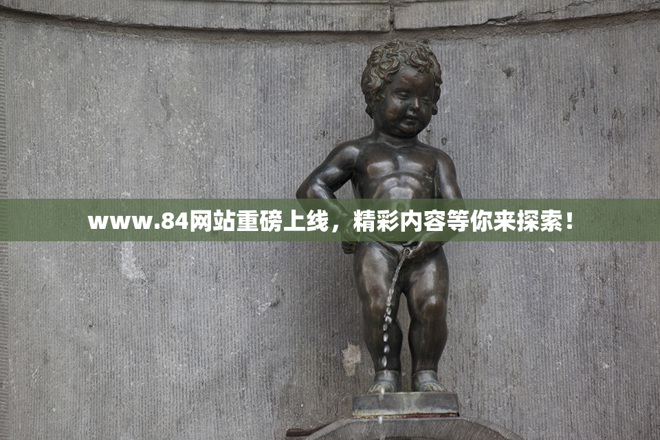 www.84网站重磅上线，精彩内容等你来探索！