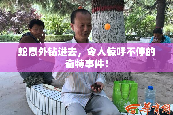 蛇意外钻进去，令人惊呼不停的奇特事件！
