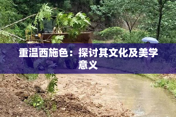重温西施色：探讨其文化及美学意义