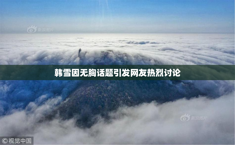 韩雪因无胸话题引发网友热烈讨论