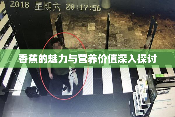香蕉的魅力与营养价值深入探讨