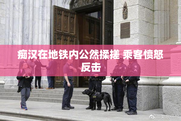 痴汉在地铁内公然揉搓 乘客愤怒反击