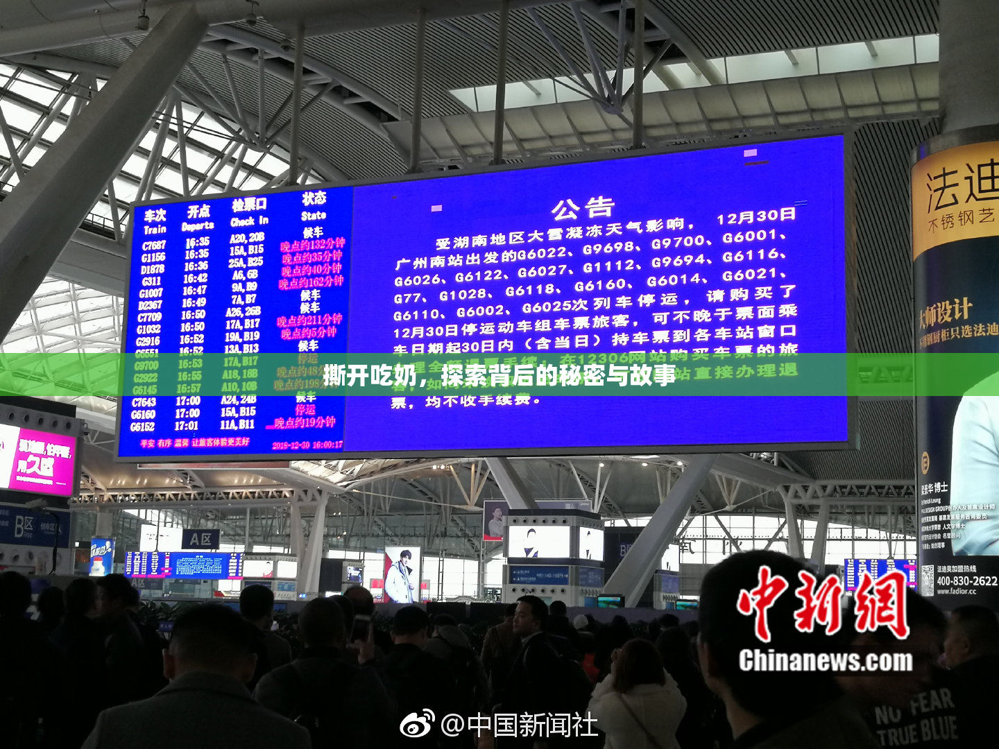 撕开吃奶，探索背后的秘密与故事