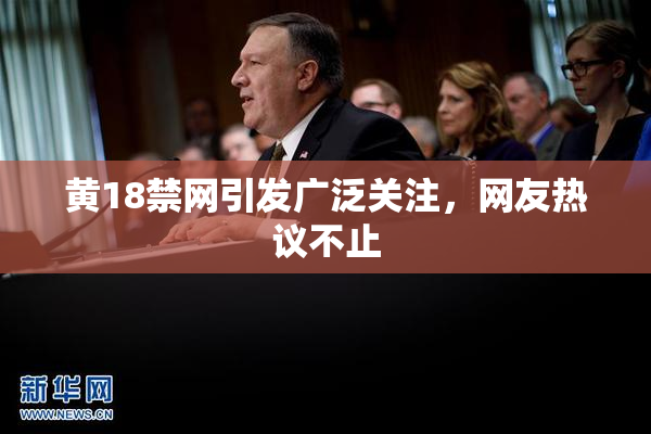 黄18禁网引发广泛关注，网友热议不止