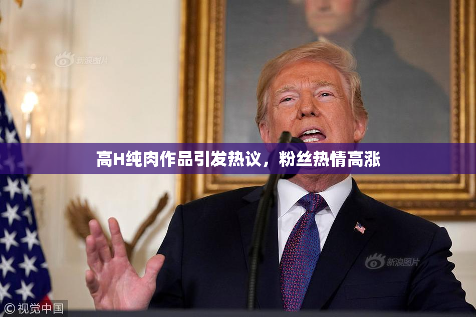 高H纯肉作品引发热议，粉丝热情高涨
