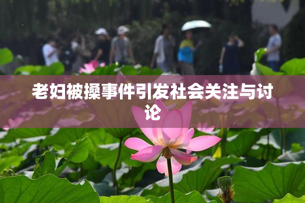 老妇被搡事件引发社会关注与讨论