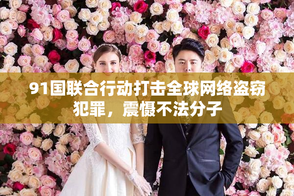 91国联合行动打击全球网络盗窃犯罪，震慑不法分子